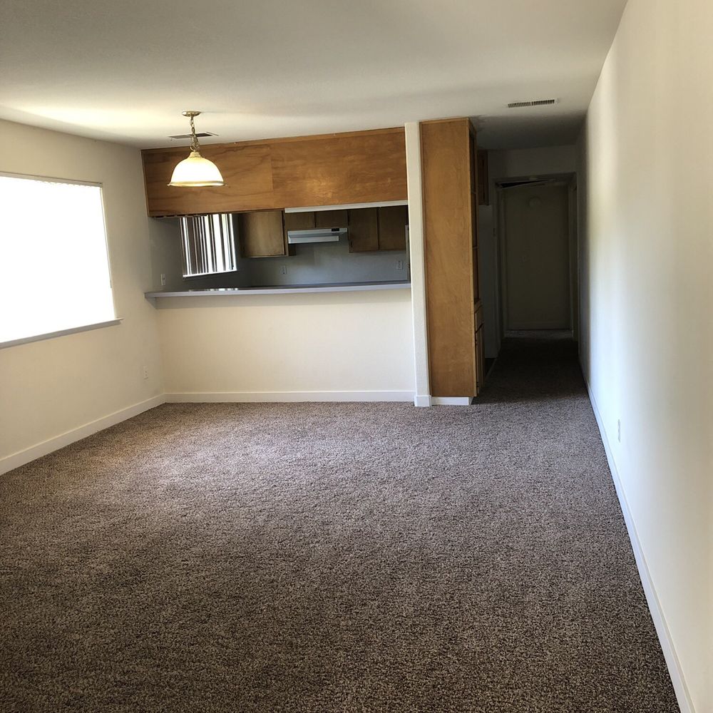 Doug Bracy Carpet & Tile Cleaning - Carpet Cleaning Near Me