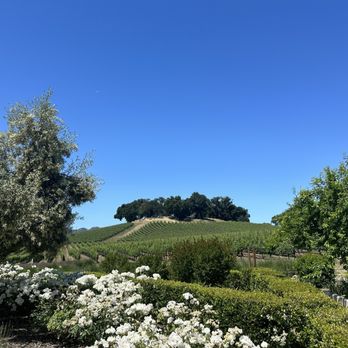 JUSTIN Vineyards & Winery - Vineyards - Wineries Near Me - Paso Robles, California JUSTIN Vineyards & Winery - Vineyards - Wineries Near Me - Paso Robles, California