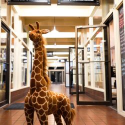 Jerry the giraffe is coming to tell you its time for you to Partake with us!