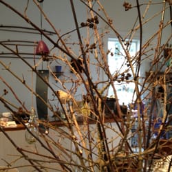 Go Outside - Bird bush