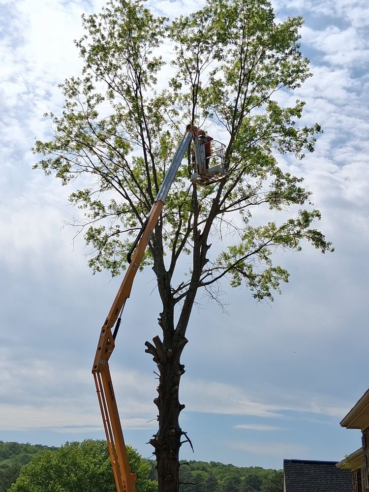 Southern Pride Land Services - veterans service organization in Hazel Green, AL