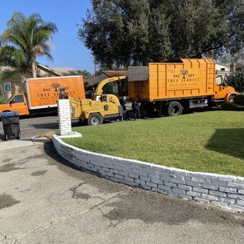 One Day Tree Service - Tree Services Near Me - Altadena, California