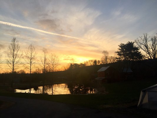 Early Bird Farm by null