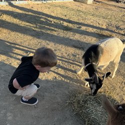One Of A Kind Petting Zoo
