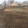 Photo of Cheapest Tree Work