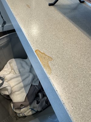 Palo Verde Spa & Apothecary by null