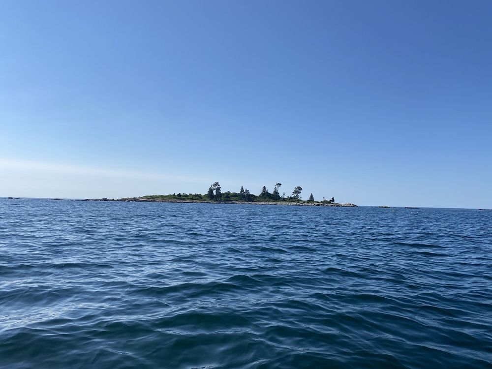 KAYAK EXCURSIONS Updated September 2024 Kennebunkport, Maine