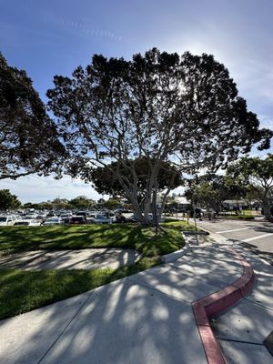 La Pensione Hotel by null