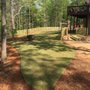 Photo of Professional Ace Landscaping