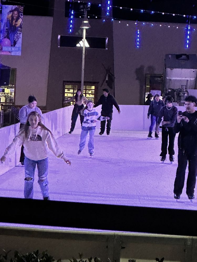 ICE SKATING RINK 5003 Willows Rd, Alpine, California Skating Rinks