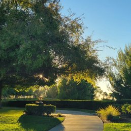 Golden hour during a weekday.