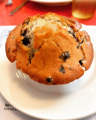 Photo of Jordans Restaurant - Bar Harbor, ME, US. Wild Maine Blueberry Muffin from #jordansrestaurant