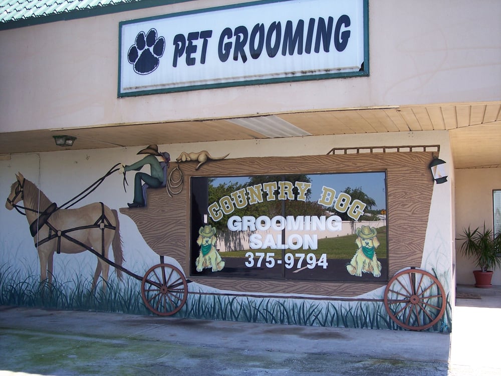 COUNTRY DOG GROOMING SALON Updated October 2024 11 Reviews 4160