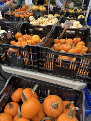 Union Square Greenmarket by null Union Square Greenmarket by null