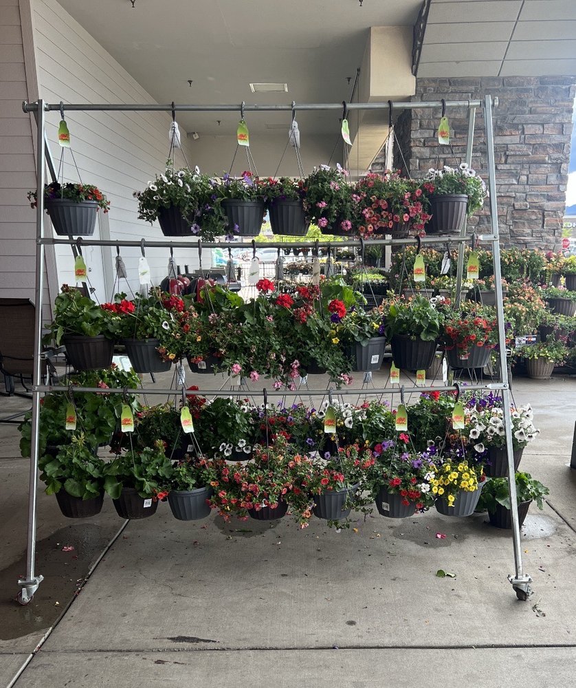 KING SOOPERS Updated September 2024 13 Photos & 32 Reviews 15200