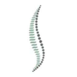Rubino Physical Therapy + Sports Wellness - Specialized Manual Therapy pertaining to Orthopedics and the Spine