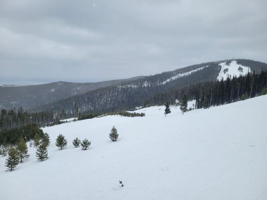 Blacktail Mountain Ski Area by null