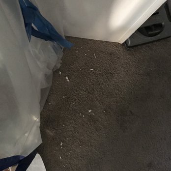 Overhaul Remodeling - My carpet was destroyed. - General Contractors Near Me - Buena Park, California Overhaul Remodeling - My carpet was destroyed. - General Contractors Near Me - Buena Park, California