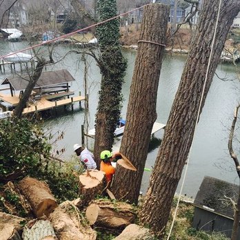 Charlie Seek Tree Service - Tree Services Near Me - Severn, Maryland Charlie Seek Tree Service - Tree Services Near Me - Severn, Maryland