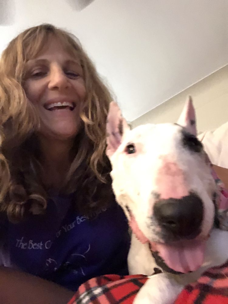 CARE 4 PETS Updated August 2024 17 Photos Gulfport, Florida Pet