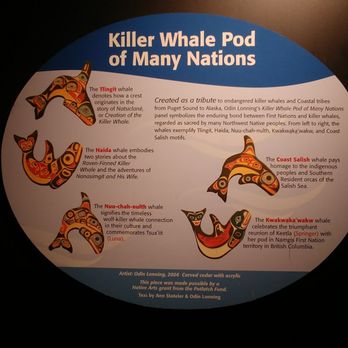 Seattle Aquarium - Aquariums Near Me - Seattle, Washington Seattle Aquarium - Aquariums Near Me - Seattle, Washington
