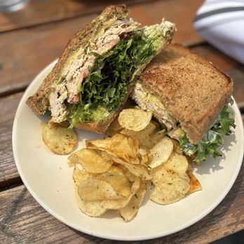 Kid Cashew - Wood Fired Chicken Avocado Sandwich - Mediterranean Near Me - Charlotte, North Carolina
