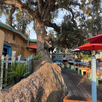 Indigo Coastal Shanty - Patio dining - New American Near Me - Brunswick, Georgia Indigo Coastal Shanty - Patio dining - New American Near Me - Brunswick, Georgia