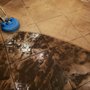 Photo of Global Cleaning Associates