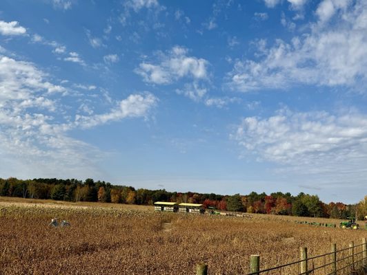 Pinehaven Farm by null