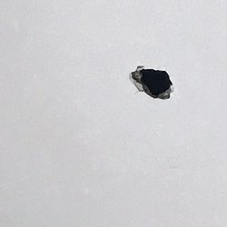 Doyle’s Plumbing & Drain Cleaning