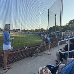Bark in the Park