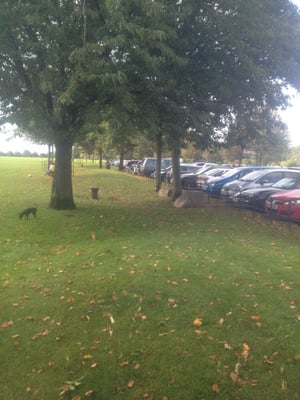 Blaise Castle by null