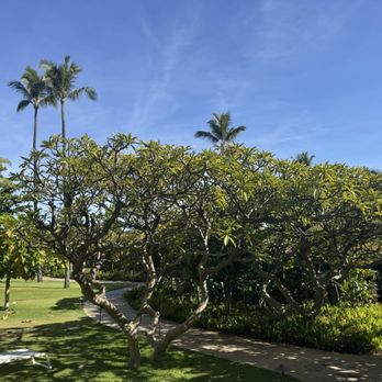 Outrigger Kā‘anapali Beach Resort - Hotels Near Me - Lahaina, Hawaii