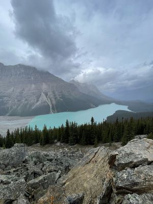 Peyto Lake by null