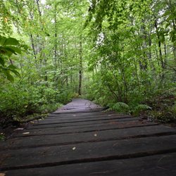 F Gilbert Hills State Forest