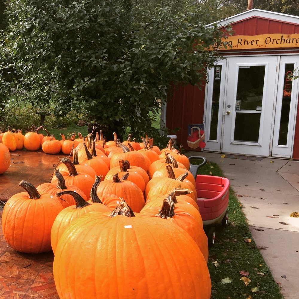 PIGEON RIVER APPLE Updated September 2024 3532 N 21st St, Sheboygan