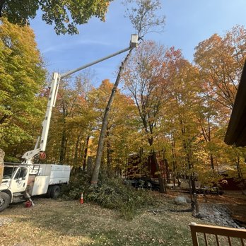 Calgaro Tree Service - Tree Services Near Me - Iron Junction, Minnesota Calgaro Tree Service - Tree Services Near Me - Iron Junction, Minnesota