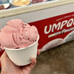 Sherm's Food 4 Less - Double scoop is HUGE!!! $2.69