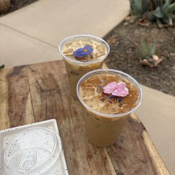 Queen Cup Coffee - Coffee & Tea Near Me - Los Olivos, California Queen Cup Coffee - Coffee & Tea Near Me - Los Olivos, California