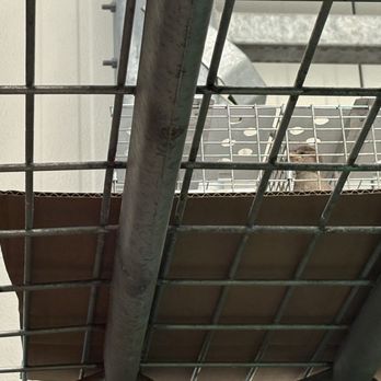 The Home Depot Canada - Birds desperate to escape!! - Nurseries & Gardening Near Me - Edmonton, Alberta The Home Depot Canada - Birds desperate to escape!! - Nurseries & Gardening Near Me - Edmonton, Alberta