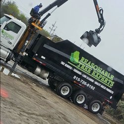 Reasonable Tree Experts