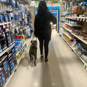 BarkSide Dog Training - Pet Training Near Me BarkSide Dog Training - Pet Training Near Me