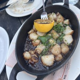 Bay scallops Bay scallops