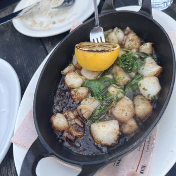 Gjelina - Bay scallops - New American Near Me - Venice, California