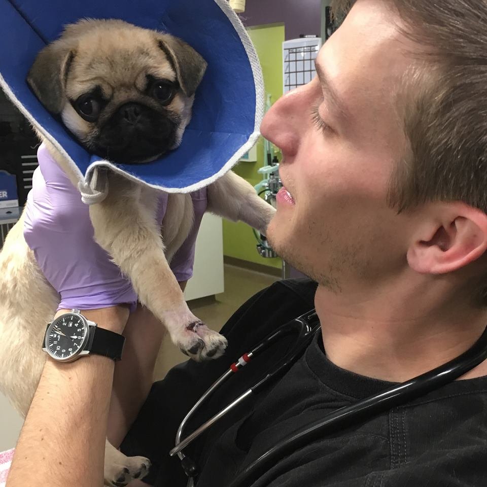 FORT COLLINS VETERINARY EMERGENCY HOSPITAL Updated August 2024 39