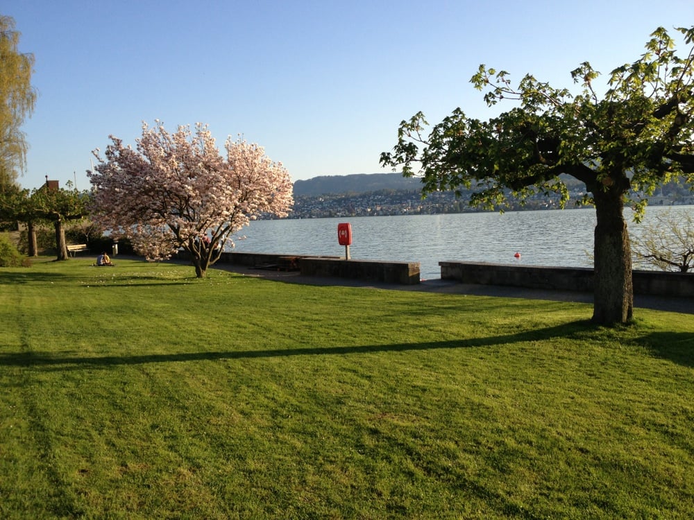 Wiese am See
