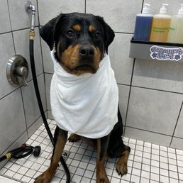Just needed her ends clipped () Just needed her ends clipped ()