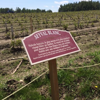 Le Cep d'Argent - a sign at a vineyard - Wineries Near Me - Canton Magog, Quebec