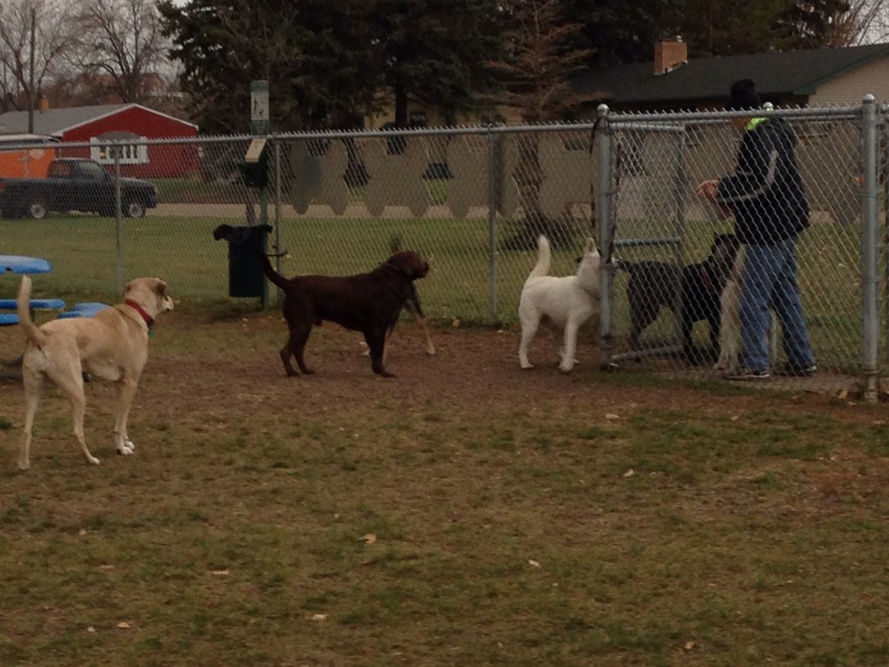 Social spots from Peppers Dog Park