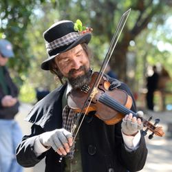 Naturalist For You - Chimney Sweep
